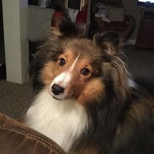 Meet your Posher, Charlotte